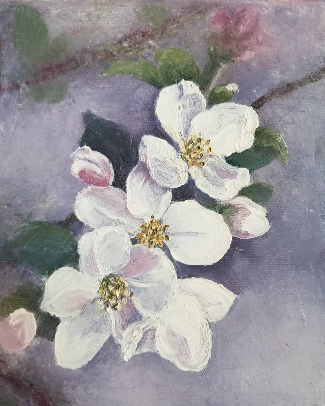 Apple Blossoms