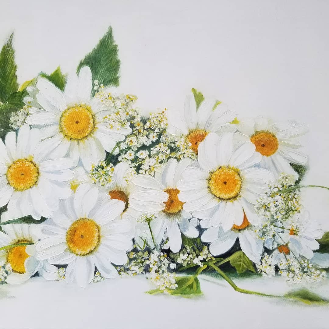 Daisies